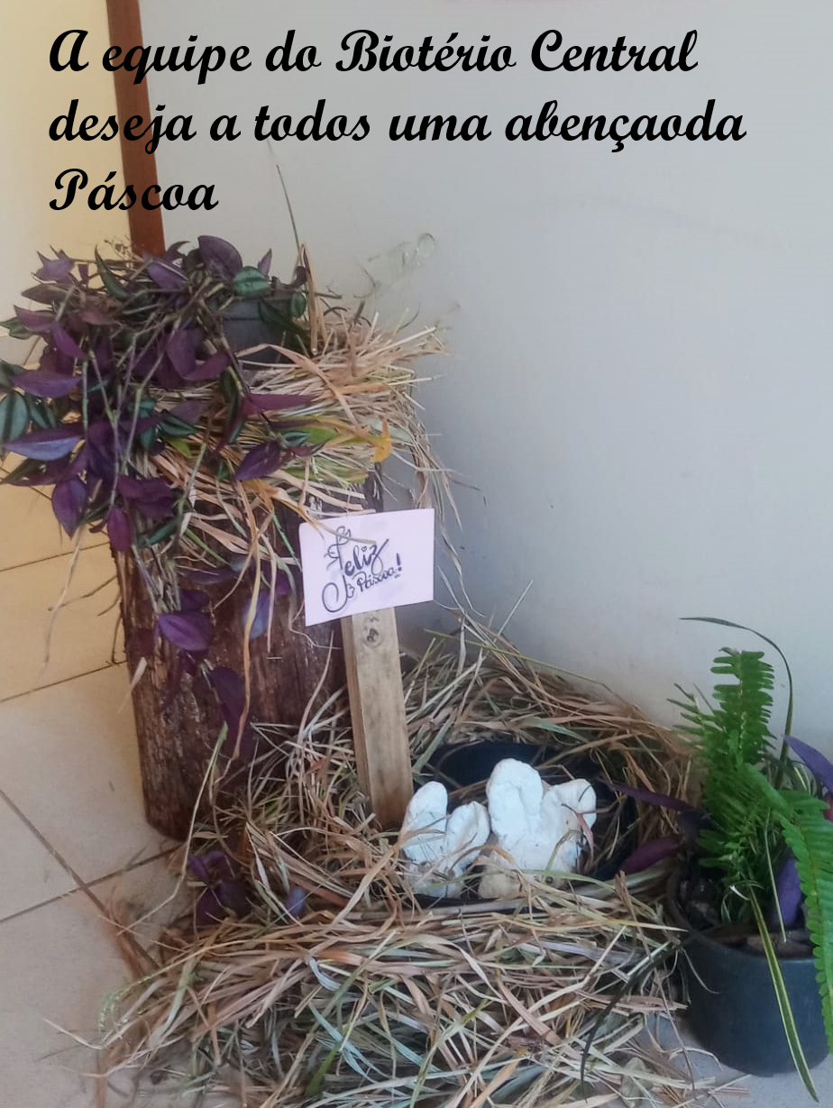 Páscoa.png